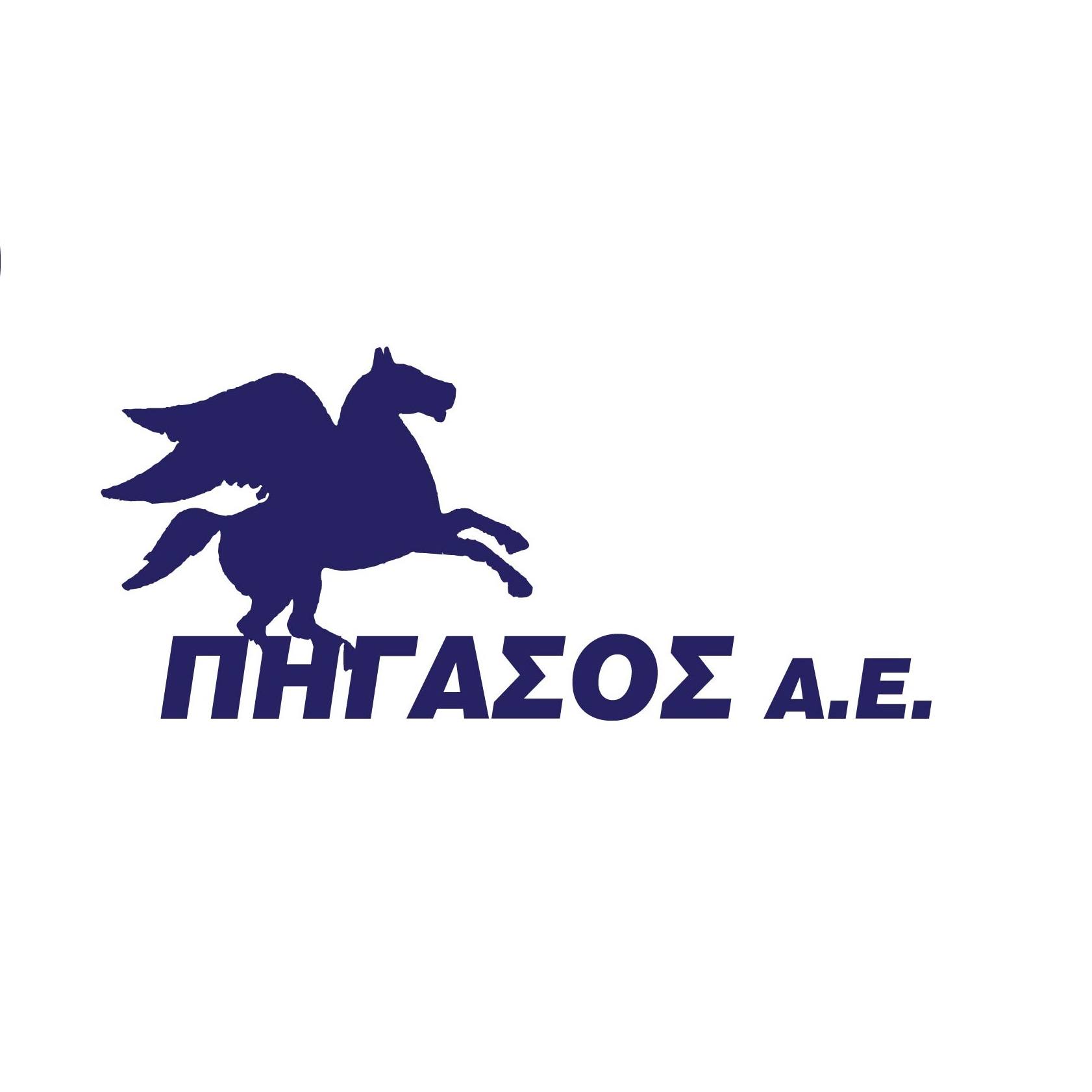 Πελάτης ΠΗΓΑΣΟΣ ΑΕ